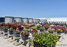 Ook buiten zijn er proeven. Deze zullen heel de zomer staan.